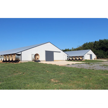 Casa prefabricada de aves de corral con estructura de acero ligero (SPT001)